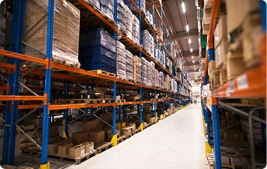 Wholesale & Distribution