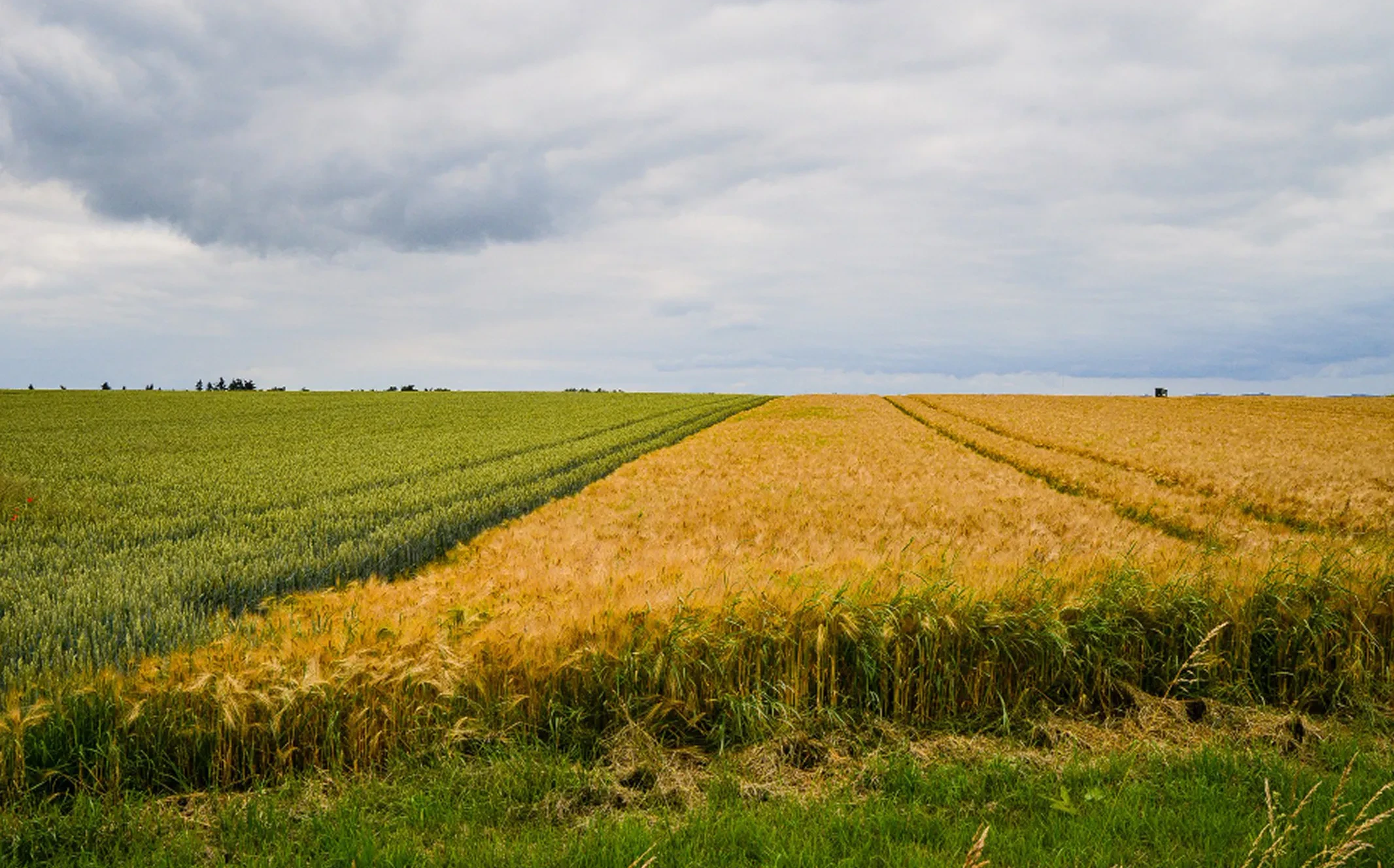 Supplying farms and agri-processors with reliable inputs.